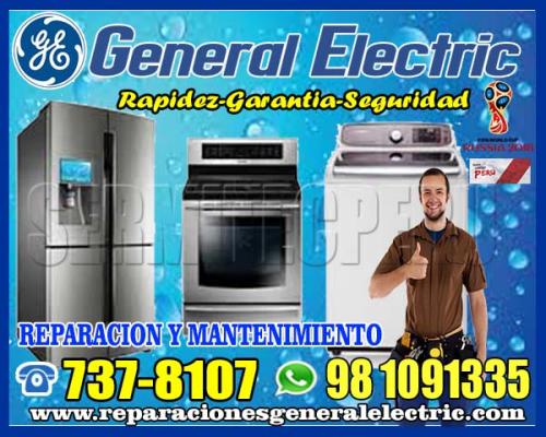 Profesionales General Electric (LaVaDoRas) en - Imagen 1