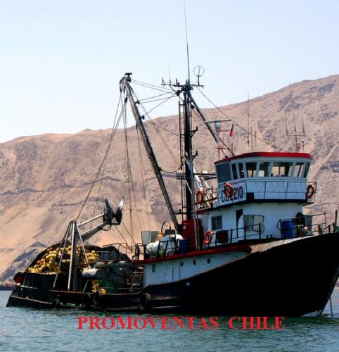 vendo tres barcos pesqueros de cerco equipado - Imagen 1